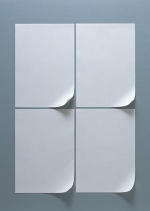 ガチャガチャの森：多彩なラインナップと魅力的な体験を提供する玩具専門店